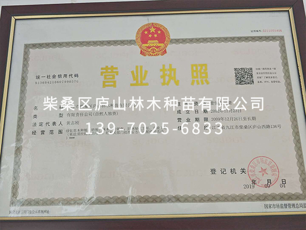 榮譽資質(zhì)