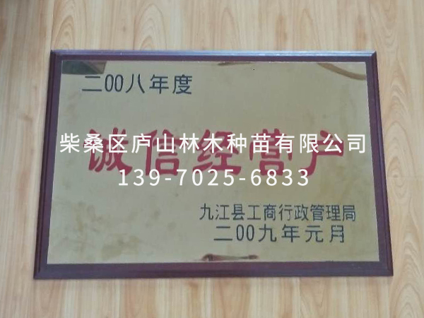 榮譽資質(zhì)