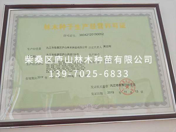 榮譽資質(zhì)