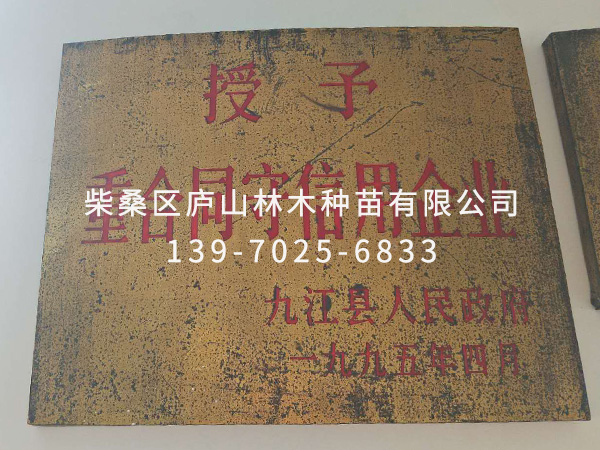 榮譽資質(zhì)